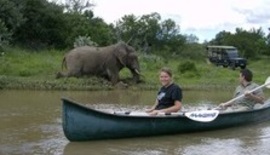 Canoeing With Elephant