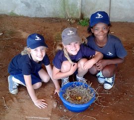 Amakhala Safari Lodge   Volunteers    (6)